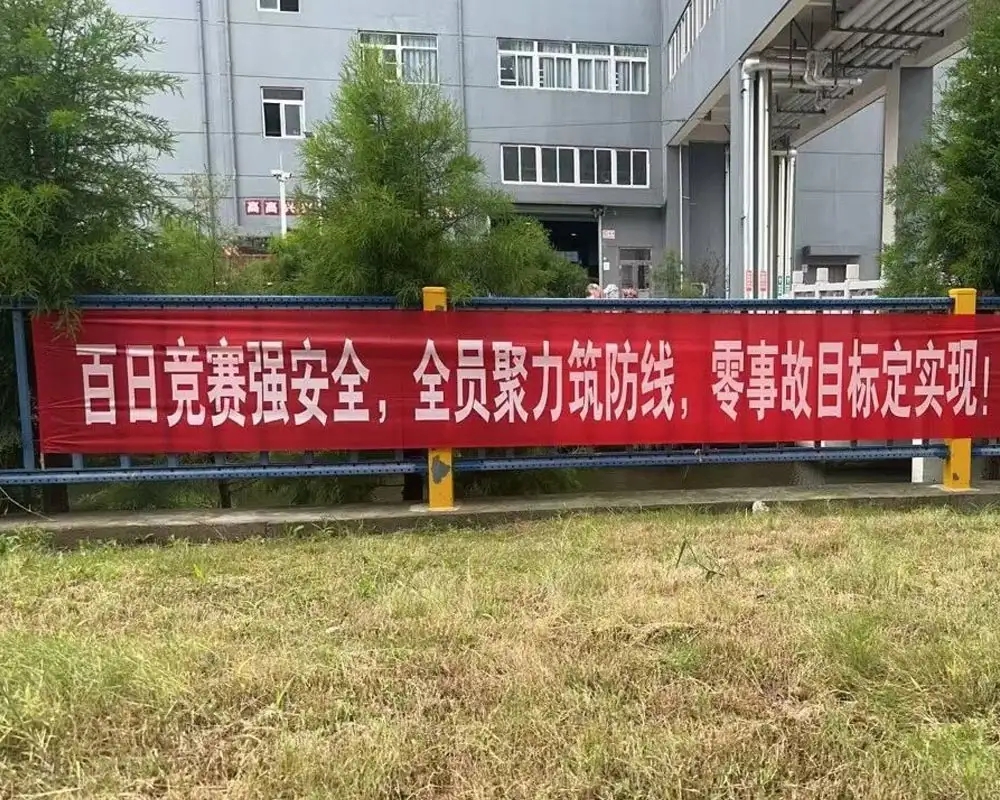 Briefing de exsequendo 